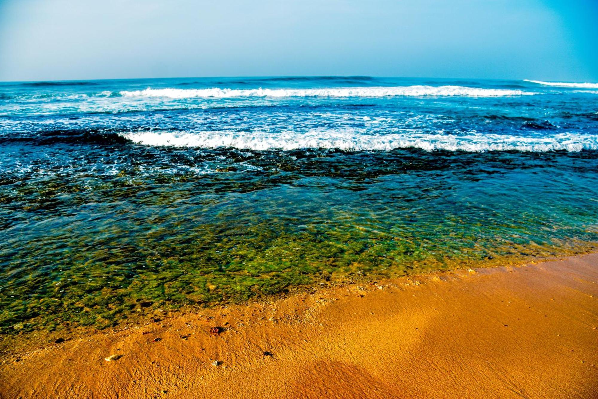 Ara Beach Resort Mirissa Buitenkant foto