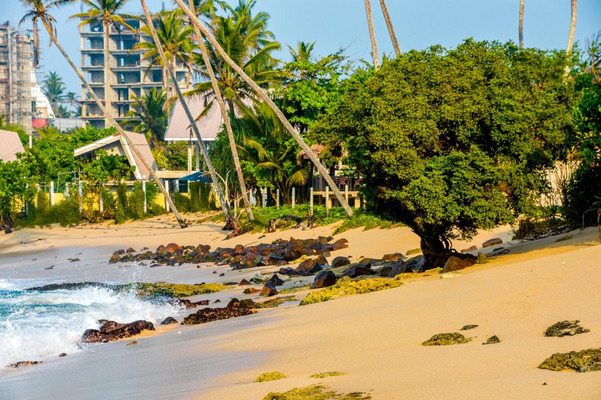 Ara Beach Resort Mirissa Buitenkant foto